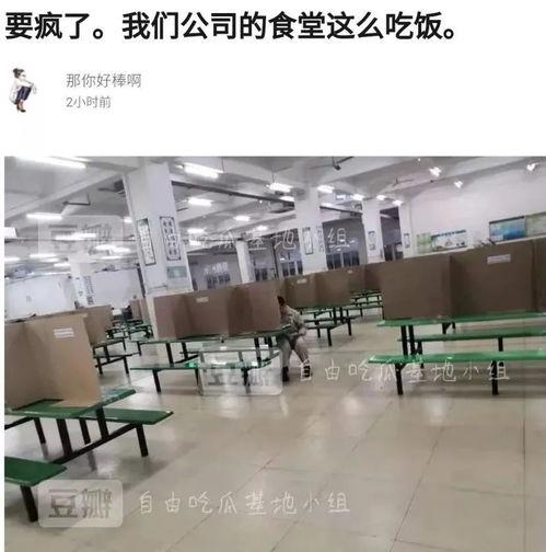豆瓣自由吃瓜基地号,揭秘网络热点的幕后故事